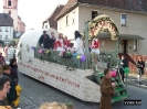 Faschingszug_18