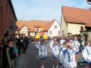 Faschingszug_21