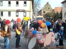 Faschingszug_8