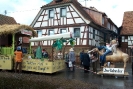 Faschingszug_12