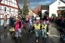 Faschingszug_14