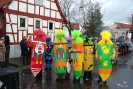 Faschingszug_17