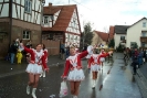 Faschingszug_1