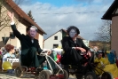 Faschingszug_24