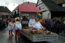 Faschingszug_26