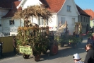 Faschingszug_14