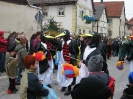 Faschingszug_25