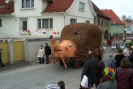 Faschingszug_27