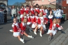 Faschingszug_20