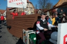 Faschingszug_21