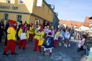 Faschingszug_17
