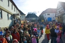Faschingszug_24