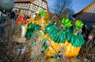 Faschingszug_29