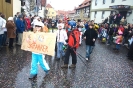 Faschingszug_14