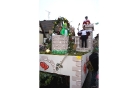 Faschingszug_29