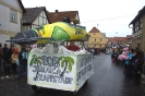 Faschingszug_30