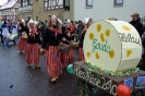 Faschingszug_11