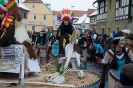 Faschingszug_21