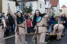 Faschingszug_22