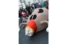 Faschingszug_29
