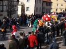 Faschingszug - Fotograf 1_106