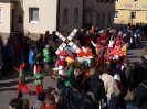 Faschingszug - Fotograf 1_107