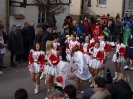 Faschingszug - Fotograf 1_109