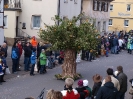 Faschingszug - Fotograf 1_13