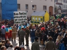 Faschingszug - Fotograf 1_14