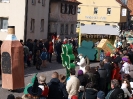 Faschingszug - Fotograf 1_18