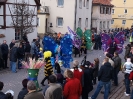 Faschingszug - Fotograf 1_28