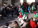 Faschingszug - Fotograf 1_32