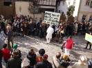 Faschingszug - Fotograf 1_3