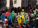 Faschingszug - Fotograf 1_40
