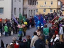 Faschingszug - Fotograf 1_55
