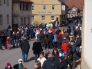 Faschingszug - Fotograf 1_56