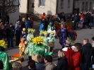 Faschingszug - Fotograf 1_58