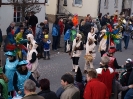 Faschingszug - Fotograf 1_61