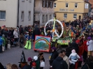 Faschingszug - Fotograf 1_6