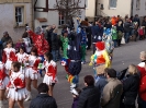 Faschingszug - Fotograf 1_71