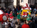 Faschingszug - Fotograf 1_72