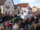 Faschingszug - Fotograf 1_74