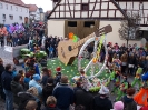 Faschingszug - Fotograf 1_77