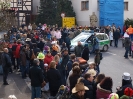Faschingszug - Fotograf 1_95