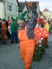Faschingszug - Fotograf 2_110