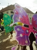 Faschingszug - Fotograf 2_111