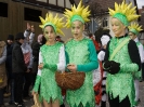 Faschingszug - Fotograf 2_30