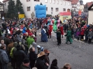 Faschingszug_11