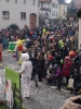 Faschingszug_151