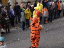 Faschingszug_165